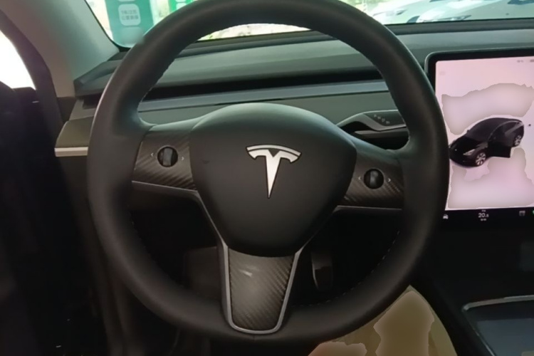 Tesla Model Y 2023 car image #15