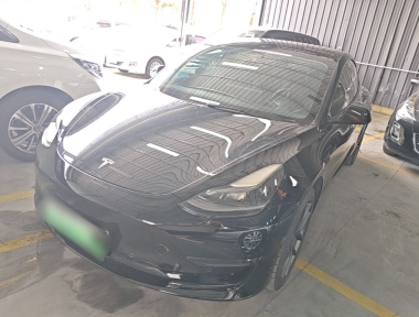 Tesla Model 3 2022 Tesla Model 3 2022 car image