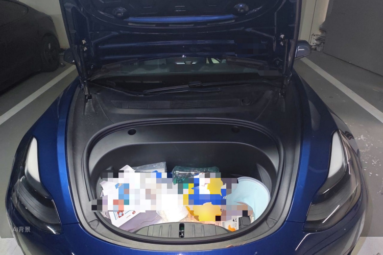 Tesla Model 3 2021 immagine di auto #22