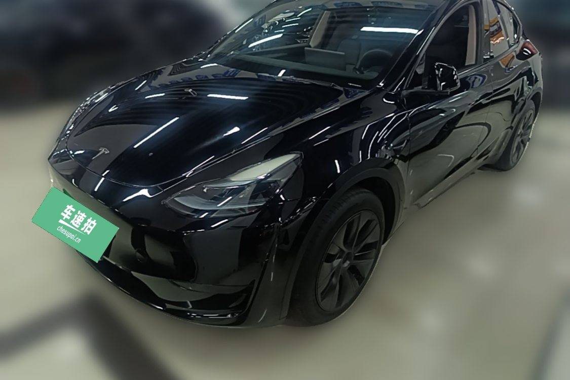 Tesla Model Y 2024 car image 