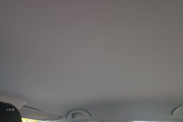 Volkswagen Polo 2018 car image #20
