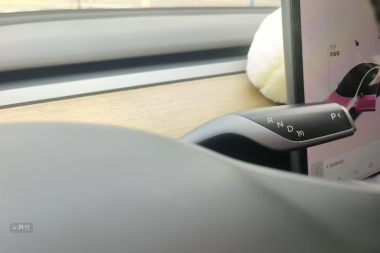 Tesla Model 3 2021 car image #16