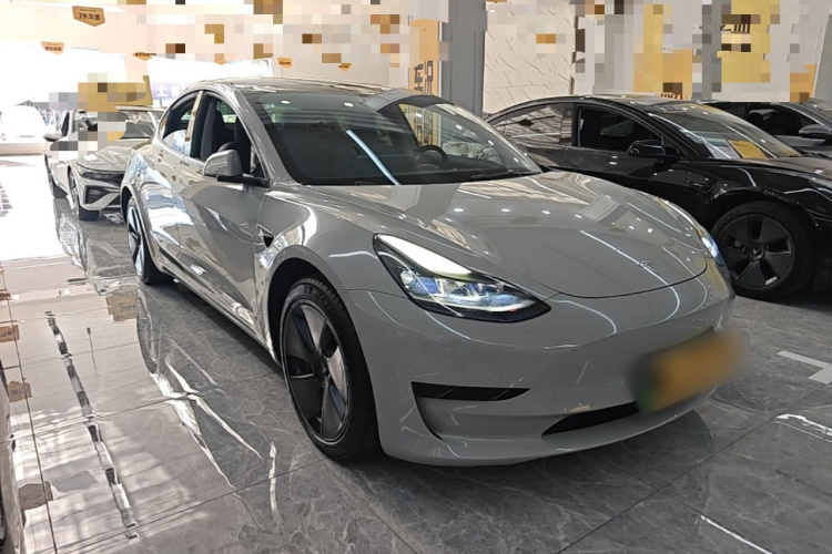 Tesla Model 3 2021 #4 Tesla Model 3 2021 car image #4