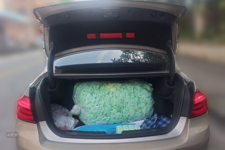 BMW 3 Series 2019 car image #21