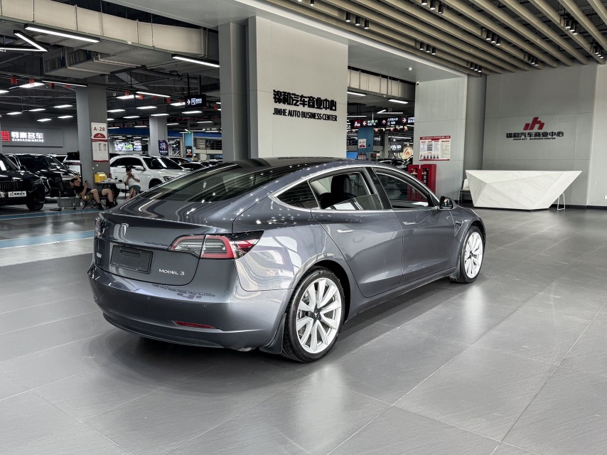 Tesla Model 3 2020 car image #6