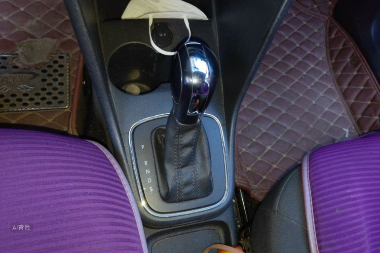 Volkswagen Polo 2016 car image #16