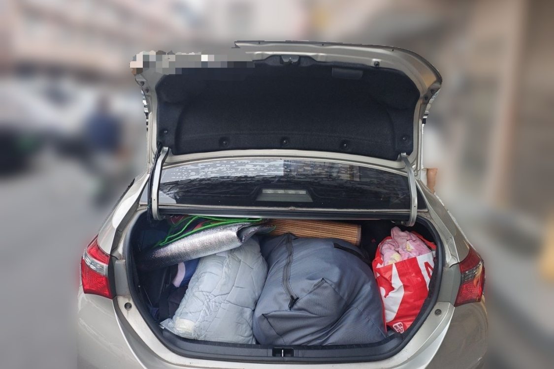 Toyota Corolla 2019 car image #8