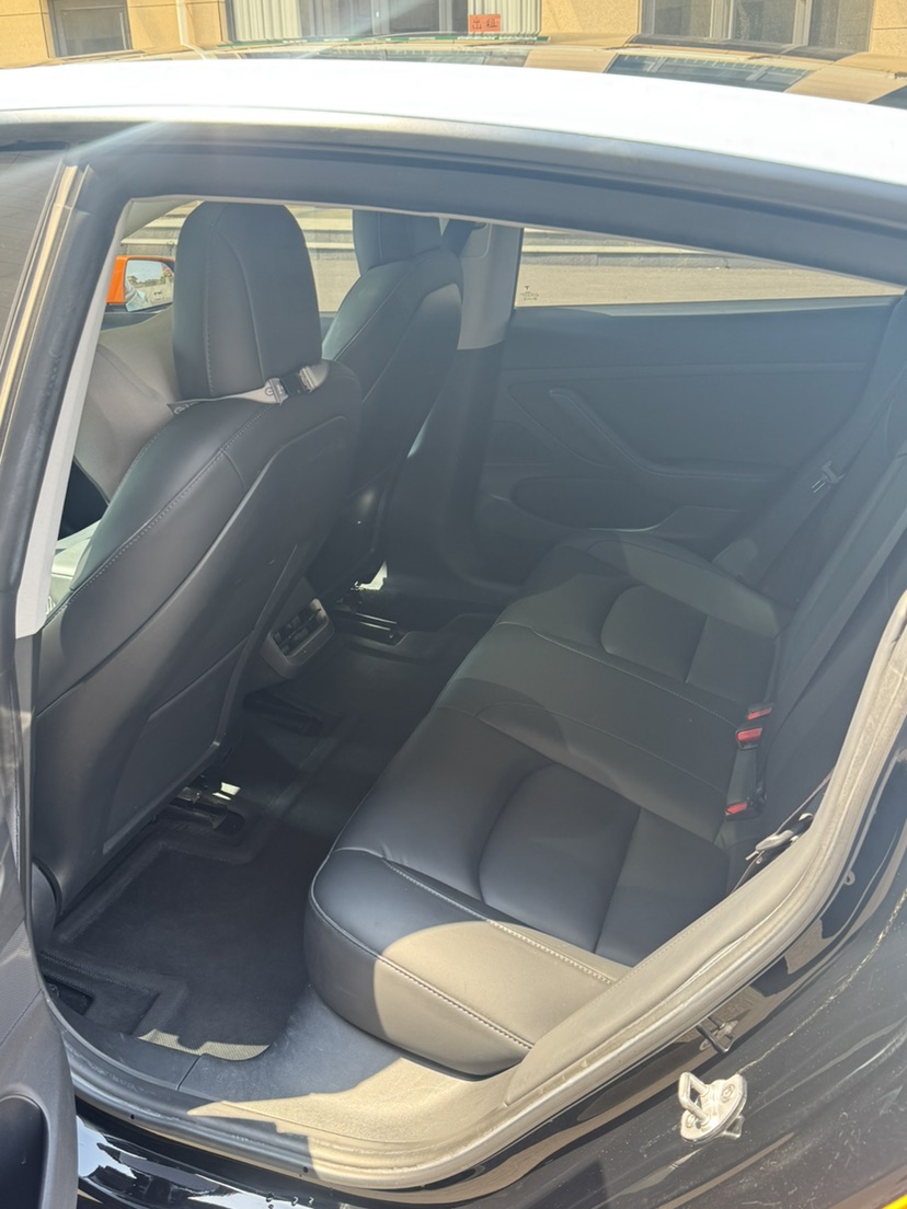 Tesla Model 3 2021 car image #6