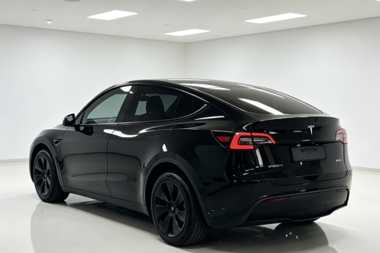 Tesla Model Y 2023 #4 Tesla Model Y 2023 car image #4
