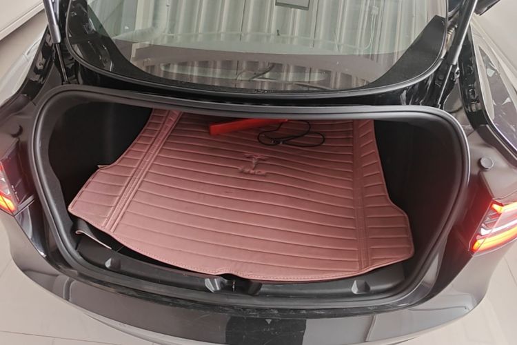 Tesla Model 3 2020 car image #19