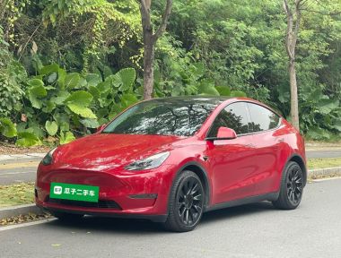 Tesla Model Y 2021 Tesla Model Y 2021 immagine di auto