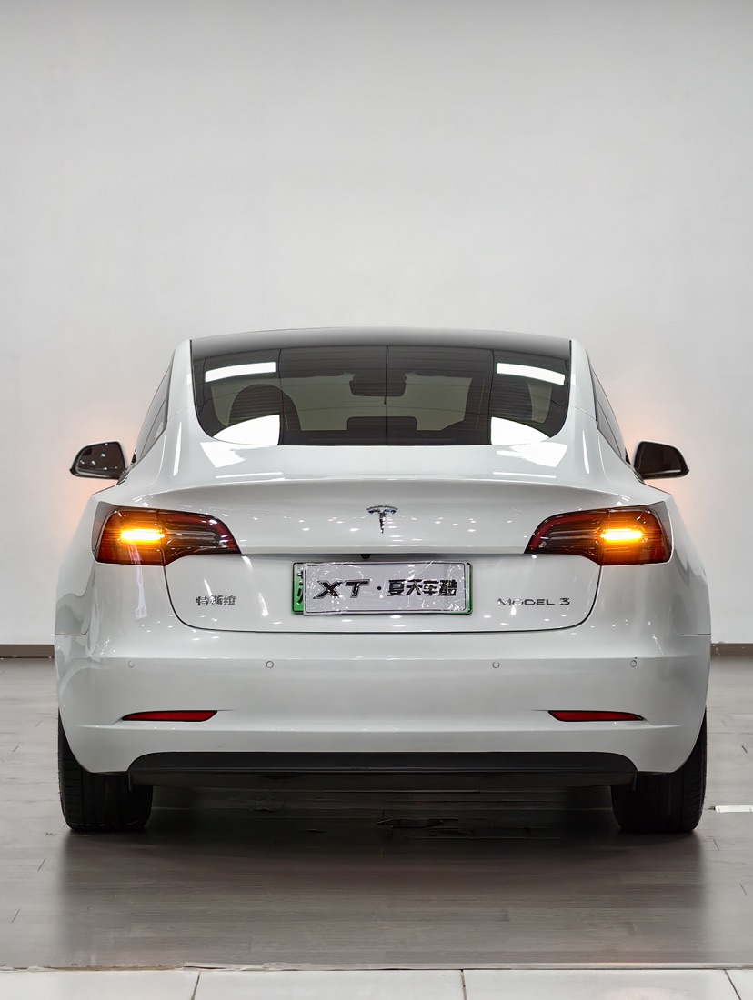 Tesla Model 3 2021 car image #4