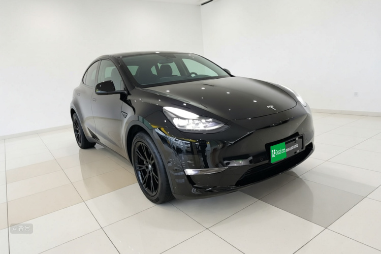 Tesla Model Y 2021 #4 Tesla Model Y 2021 car image #4