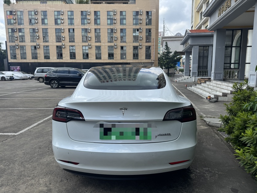 Tesla Model 3 2020 #3 Tesla Model 3 2020 car image #3