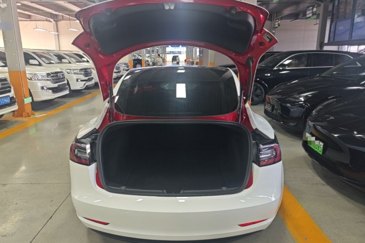 Tesla Model 3 2020 #19 Tesla Model 3 2020 car image #19