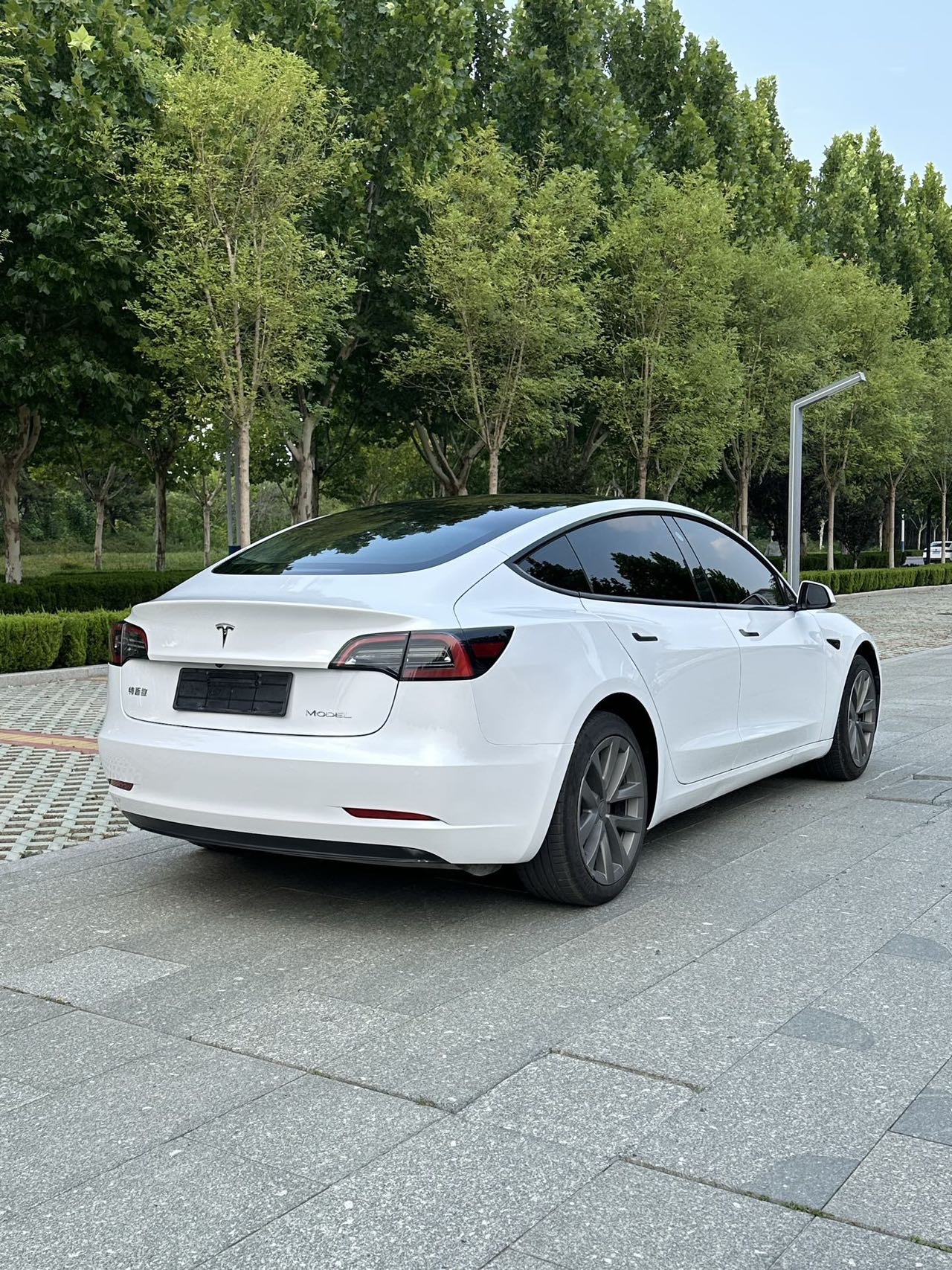 Tesla Model 3 2021 car image #4