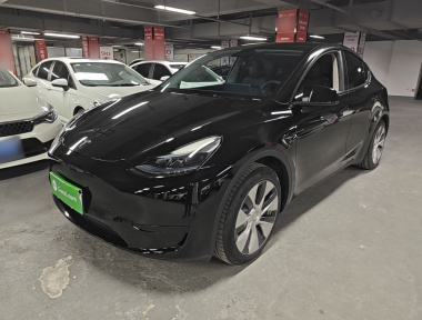 Tesla Model Y 2023 car image 