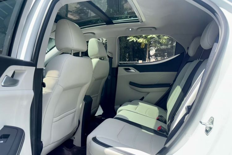 BYD Yuan Pro 2022 #17 BYD Yuan Pro 2022 imagen de coche #17