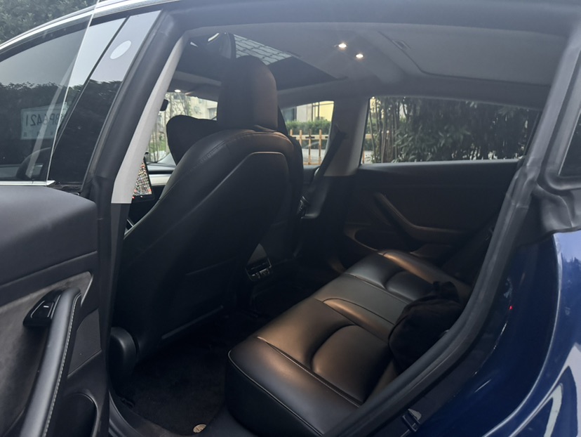 Tesla Model 3 2020 #5 Tesla Model 3 2020 car image #5