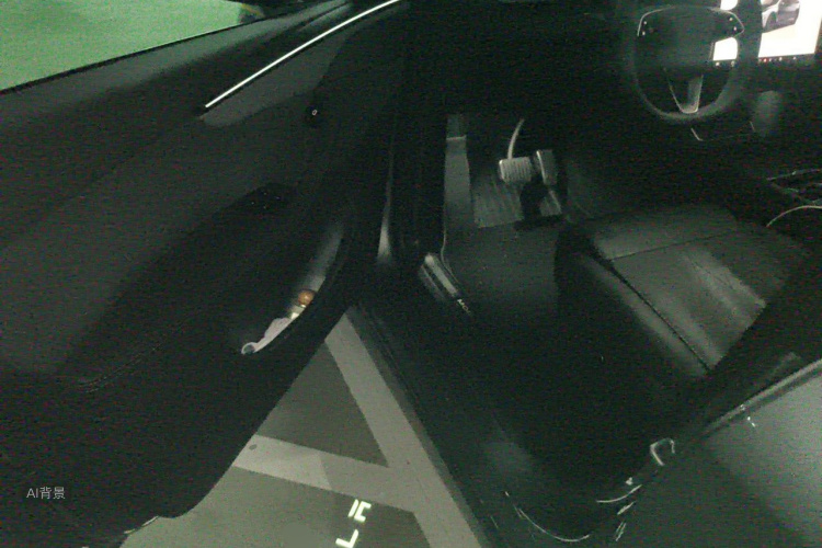 Tesla Model Y 2025 car image #18
