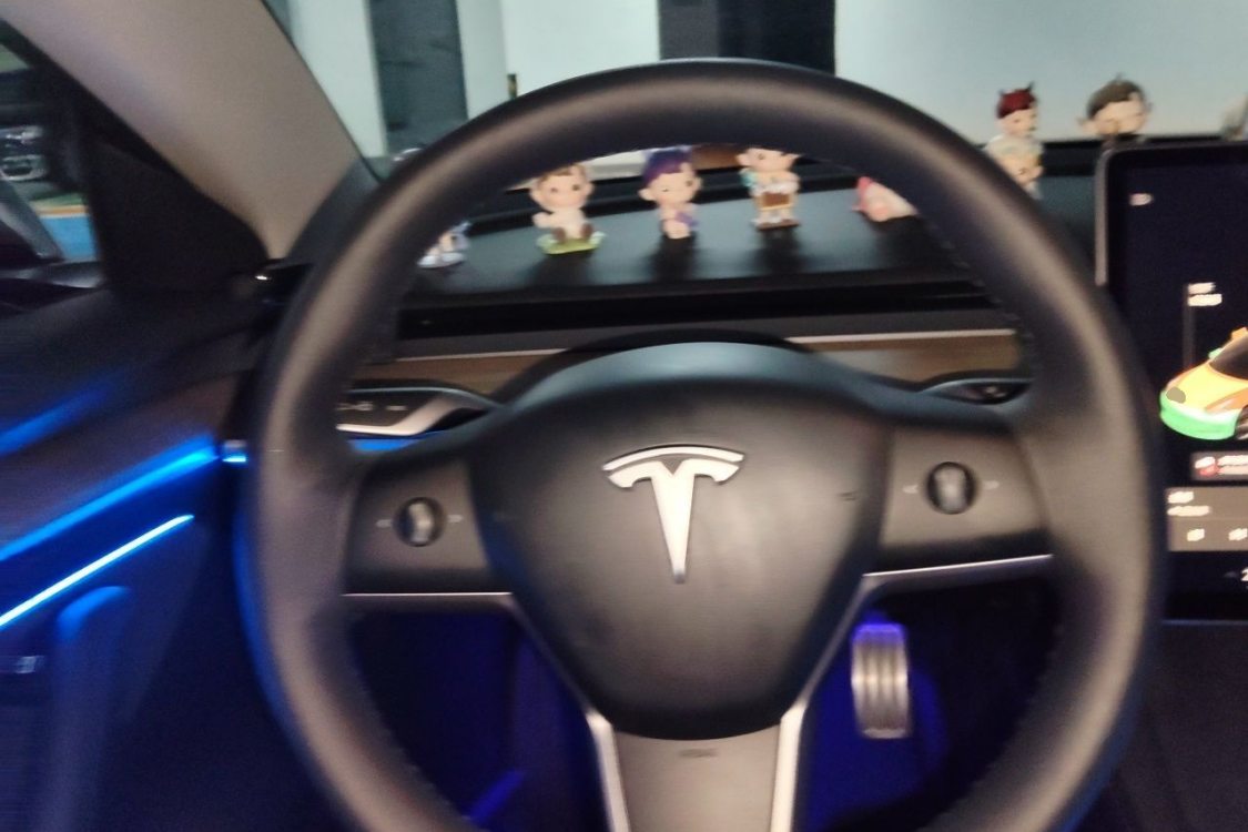 Tesla Model 3 2021 immagine di auto #22