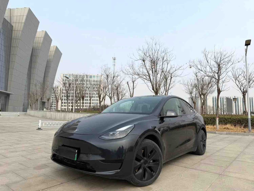 Tesla Model Y 2024 car image 