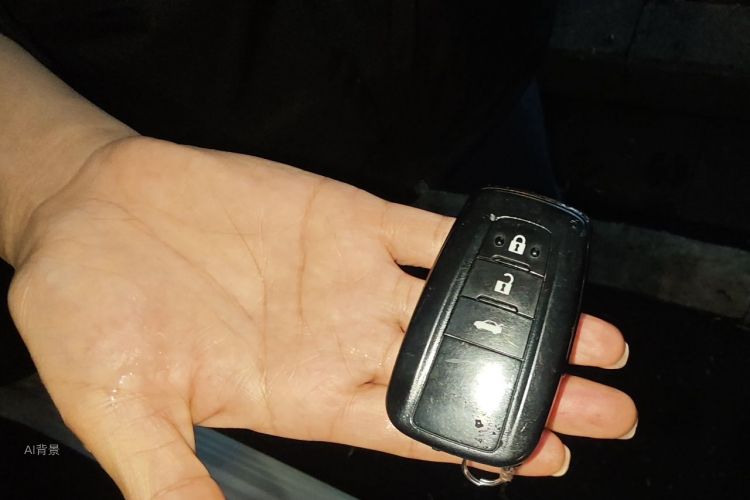 Toyota Corolla 2021 car image #10