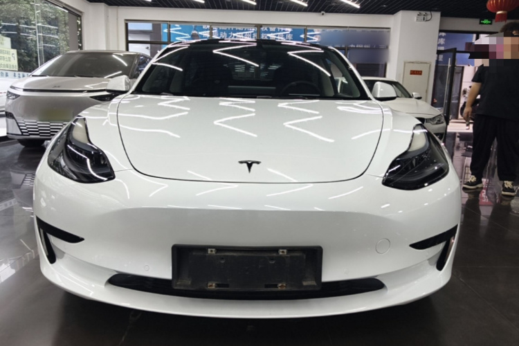 Tesla Model 3 2023 #3 Tesla Model 3 2023 car image #3