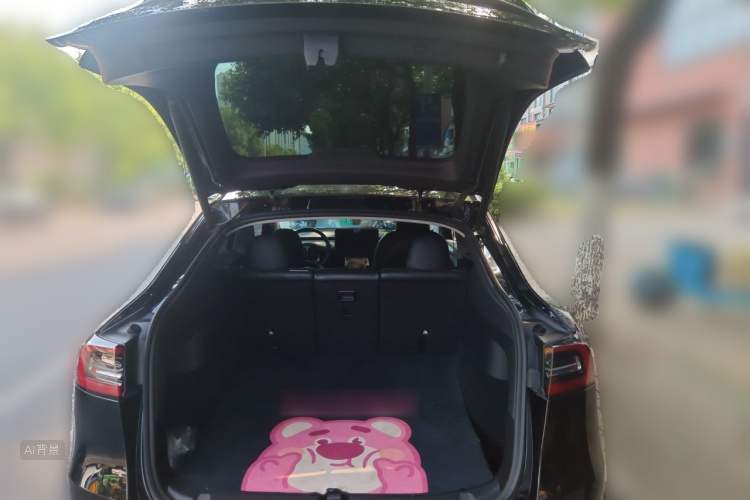 Tesla Model Y 2023 #21 Tesla Model Y 2023 car image #21