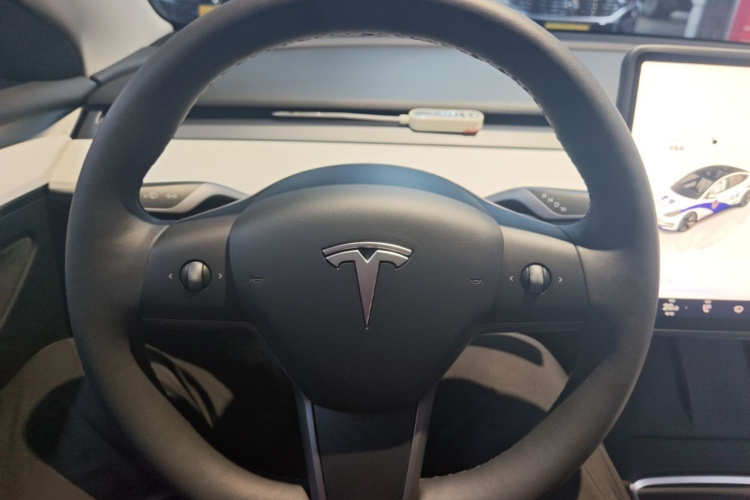 Tesla Model 3 2022 imagem de carro #11
