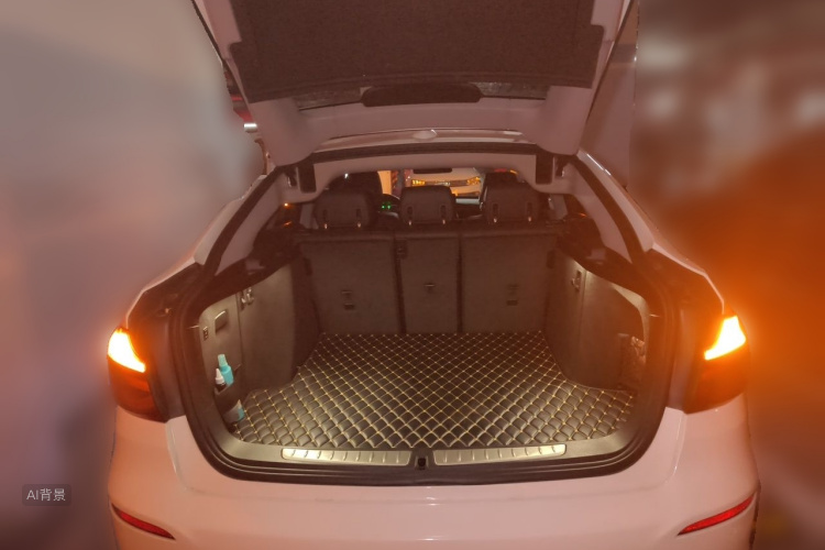 BMW 3 Series GT 2019 car image #21