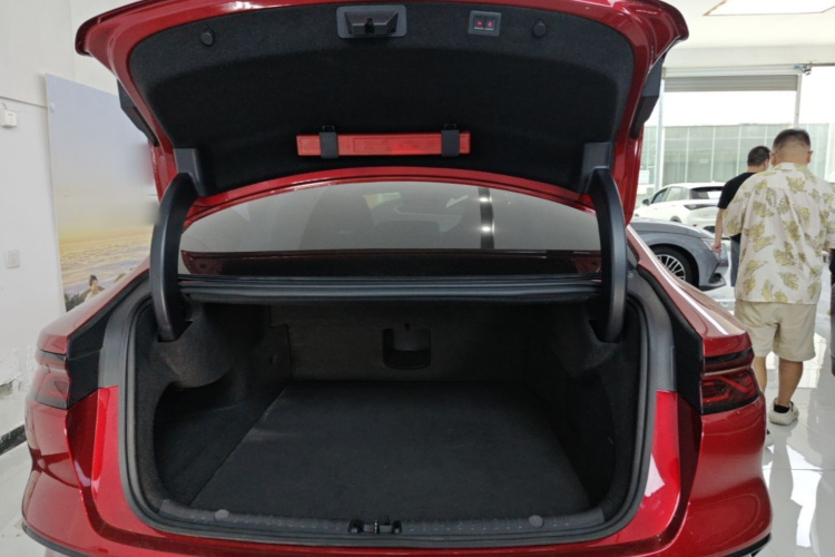 BYD Han 2022 #19 BYD Han 2022 immagine di auto #19