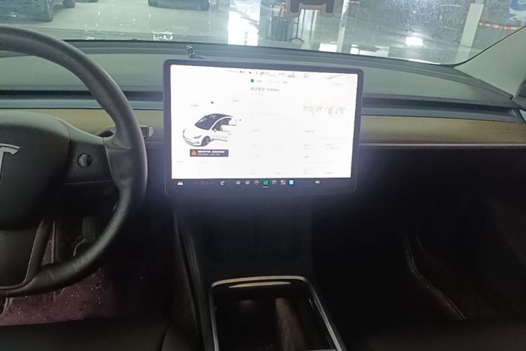Tesla Model 3 2021 car image #13