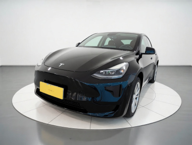 Tesla Model Y 2023 Tesla Model Y 2023 car image