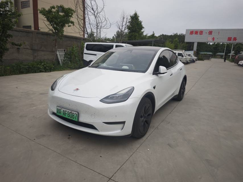 Tesla Model Y 2023 car image 