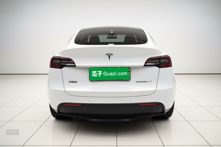 Tesla Model Y 2021 car image #6