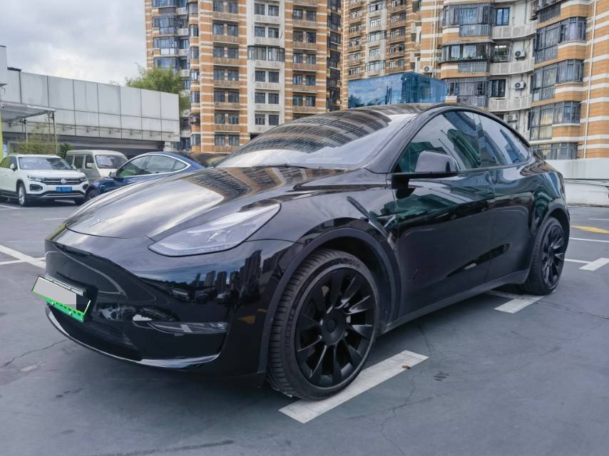 Tesla Model Y 2021 Tesla Model Y 2021 car image