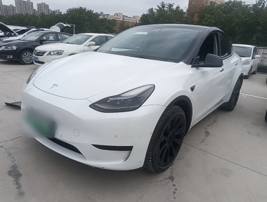 Tesla Model Y 2023 car image 