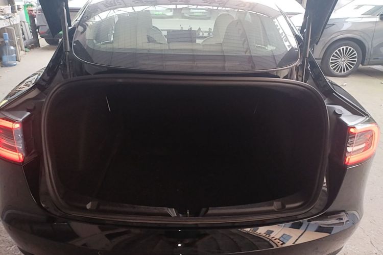 Tesla Model 3 2020 car image #19