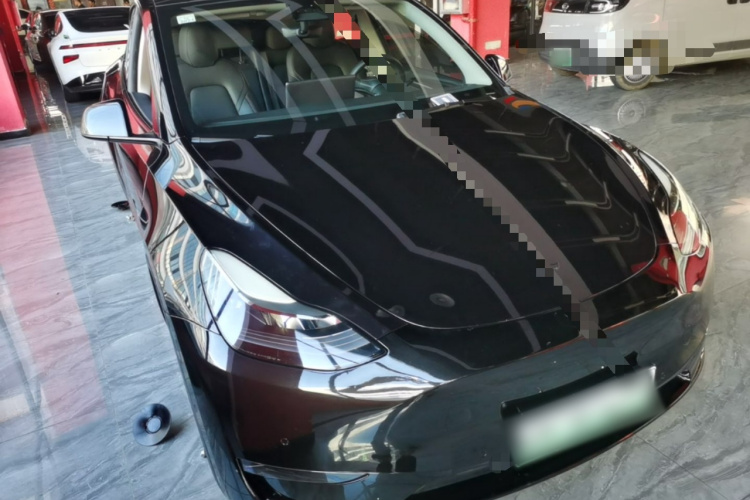 Tesla Model Y 2021 #6 Tesla Model Y 2021 car image #6
