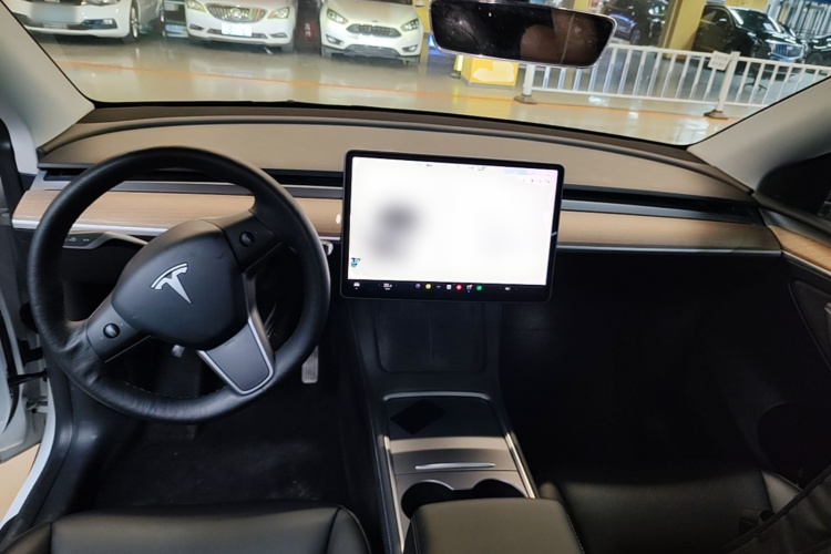 Tesla Model Y 2021 car image #10