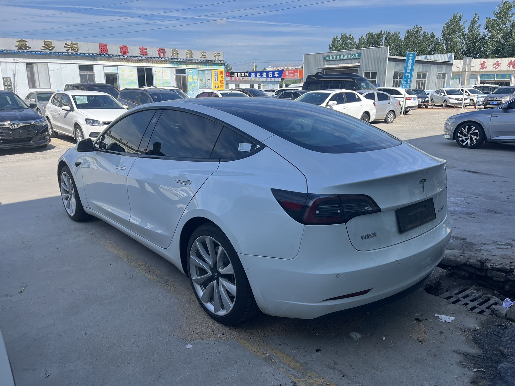 Tesla Model 3 2021 #4 Tesla Model 3 2021 car image #4