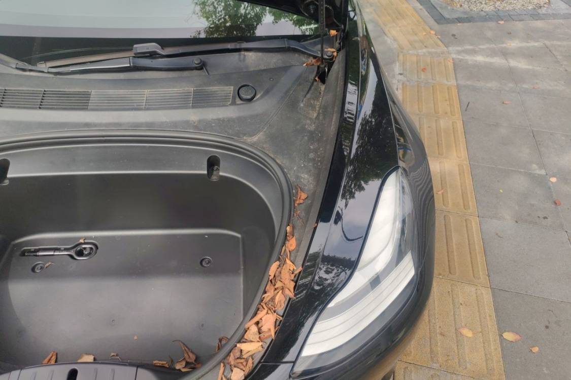 Tesla Model 3 2020 #12 Tesla Model 3 2020 imagen de coche #12