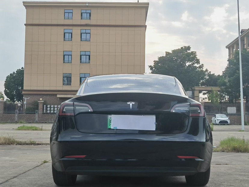 Tesla Model 3 2020 car image #8
