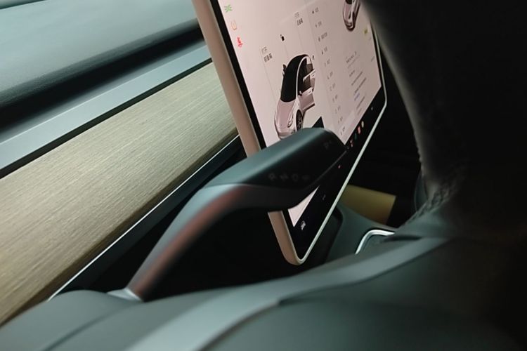 Tesla Model 3 2021 #18 Tesla Model 3 2021 immagine di auto #18