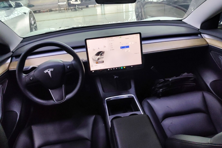 Tesla Model 3 2022 #10 Tesla Model 3 2022 immagine di auto #10