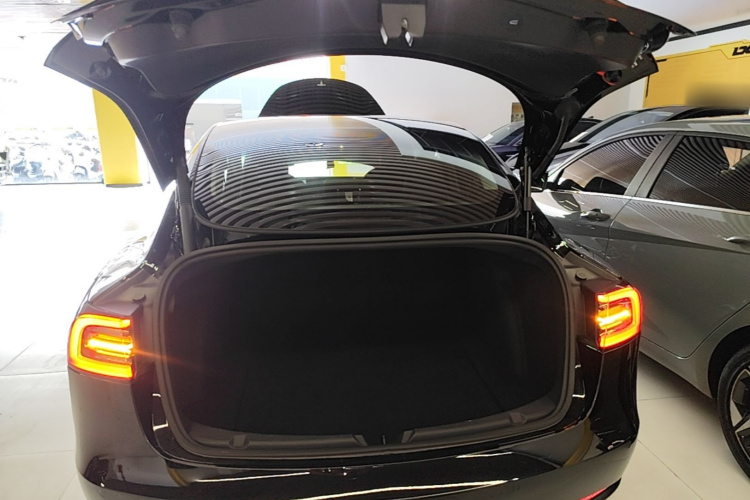 Tesla Model 3 2021 #19 Tesla Model 3 2021 immagine di auto #19