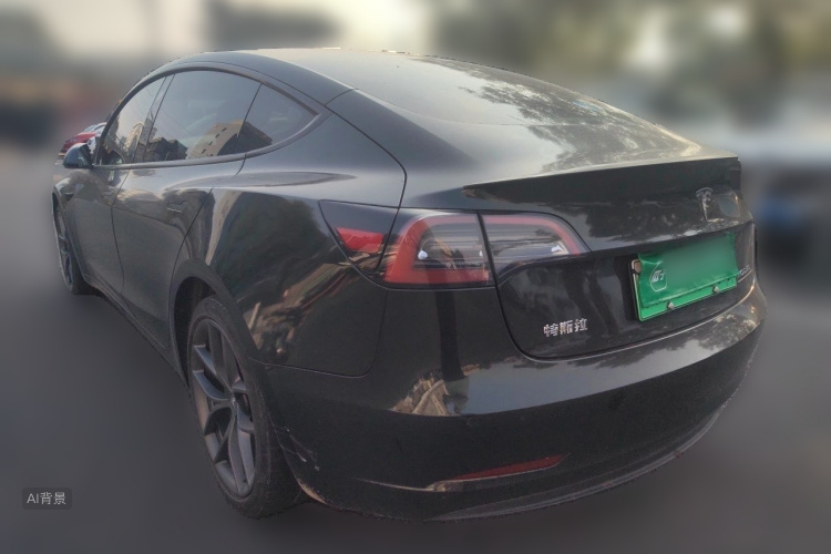 Tesla Model 3 2021 #5 Tesla Model 3 2021 car image #5