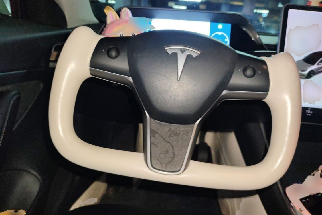Tesla Model 3 2020 #24 Tesla Model 3 2020 car image #24