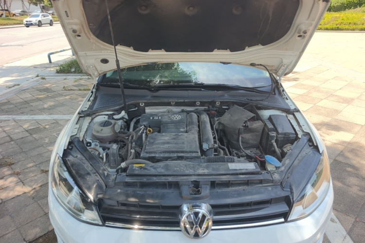 Volkswagen Golf 2017 car image #20